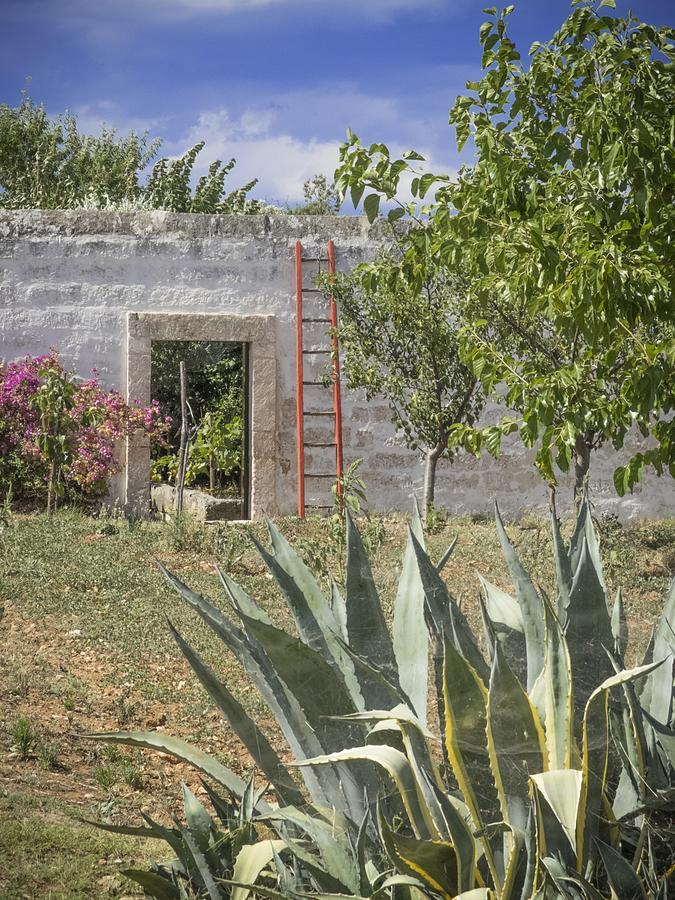 Masseria Palombara Grande 오스투니 외부 사진