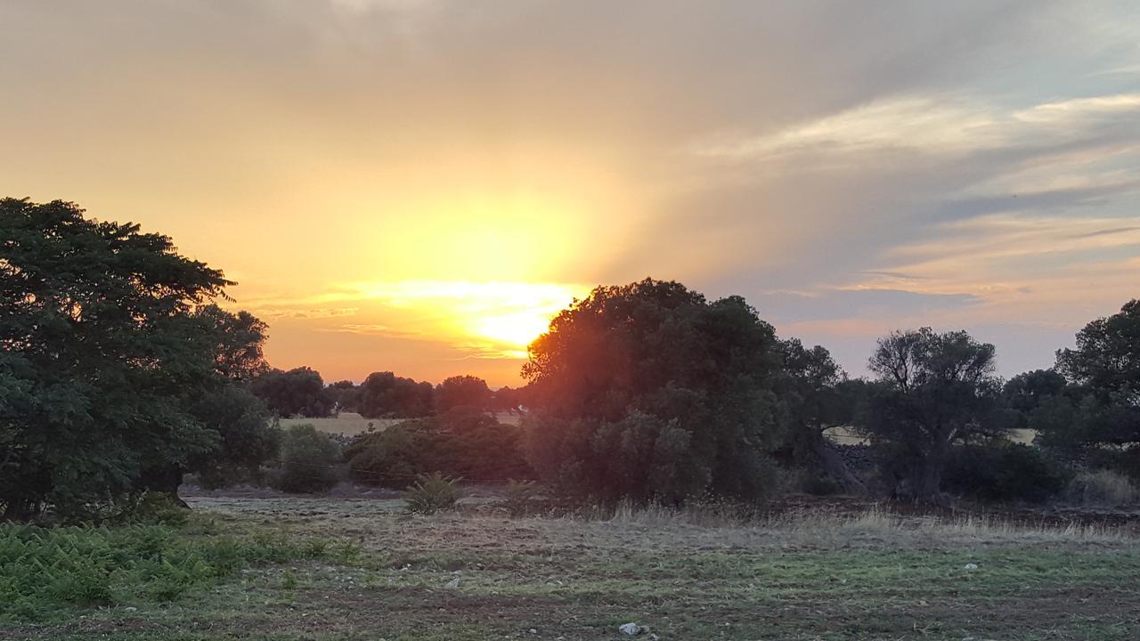 Masseria Palombara Grande 오스투니 외부 사진